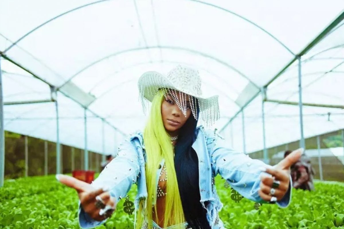 Deputado do PSL aciona Ministério Público e Polícia Federal contra a música Verdinha, de Ludmilla