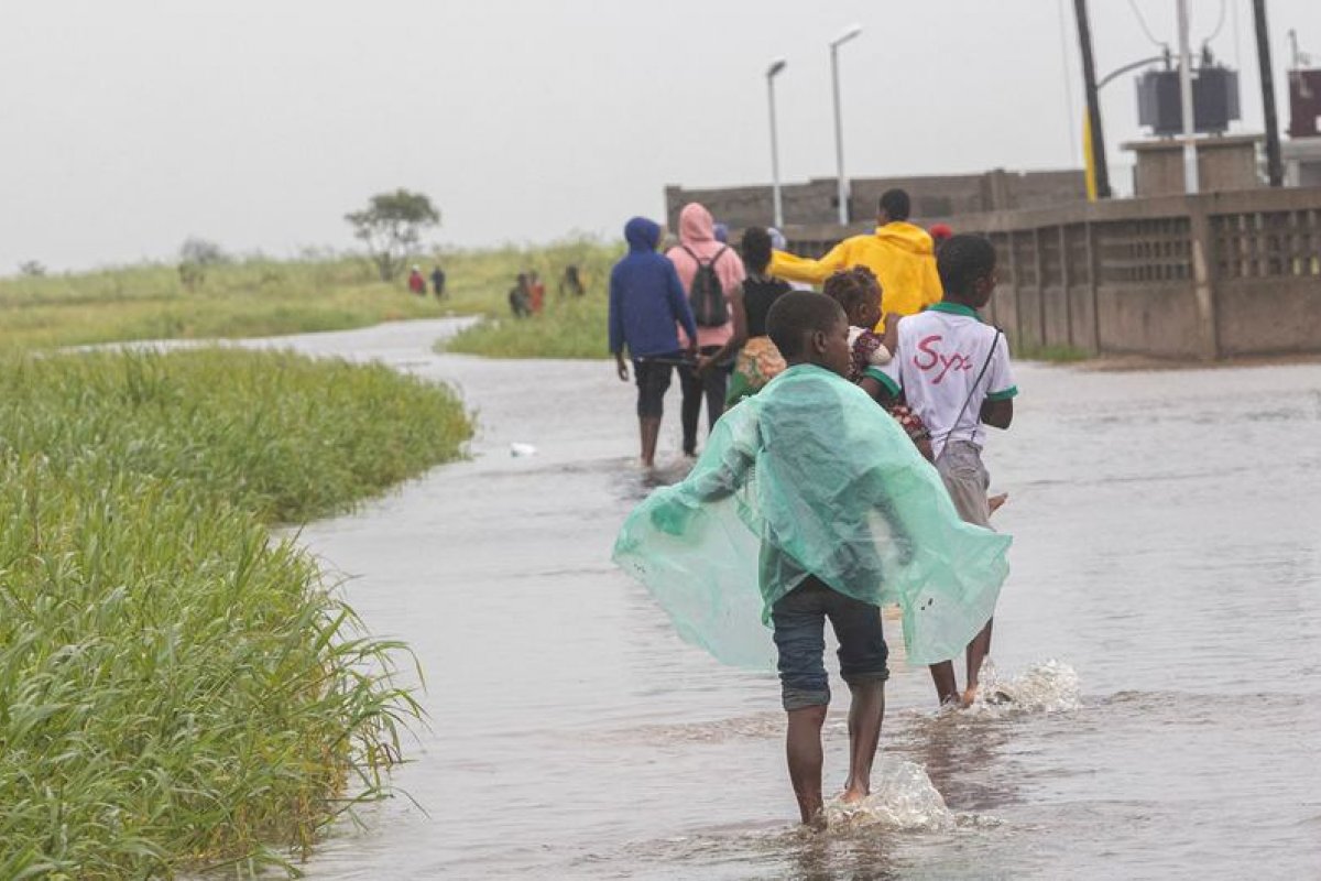 Infecções causadas por mosquitos estão aumentando, diz OMS nas Américas