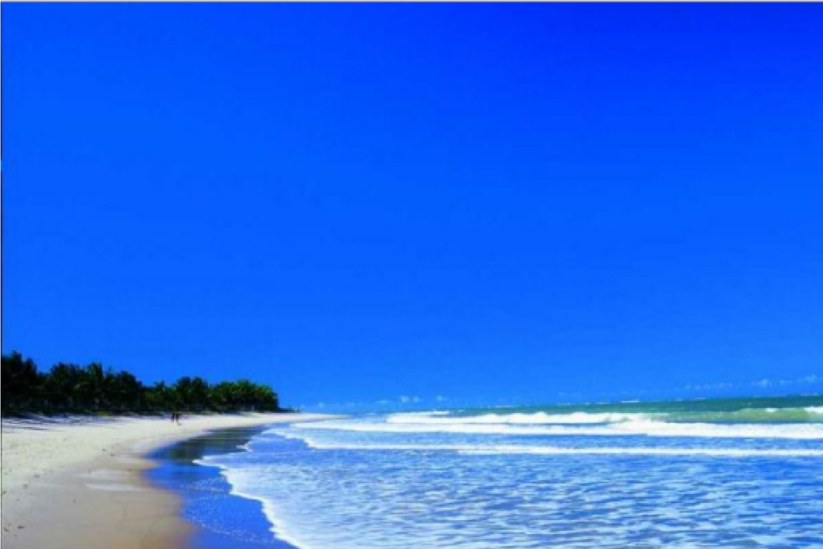 Após fracasso em leilão, Justiça da Bahia coloca à venda praia deserta em Trancoso