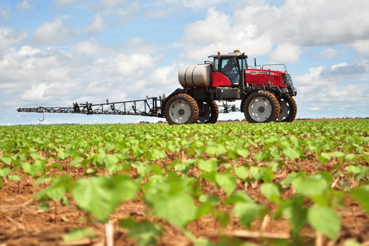 3 em cada 10 produtores rurais estão inadimplentes, diz Serasa Experian