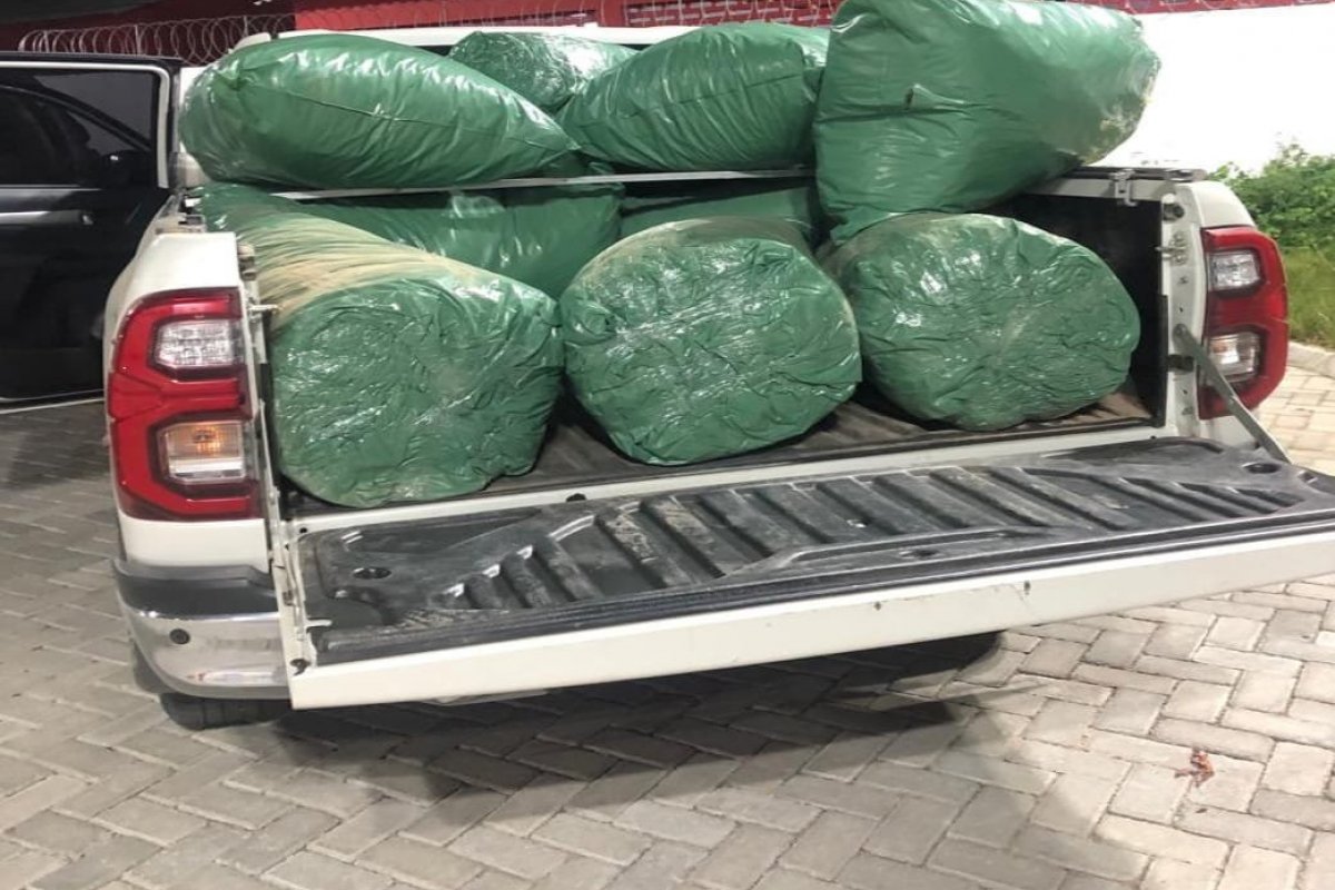 PM apreende 212 kg de maconha escondidos em carro no norte da Bahia