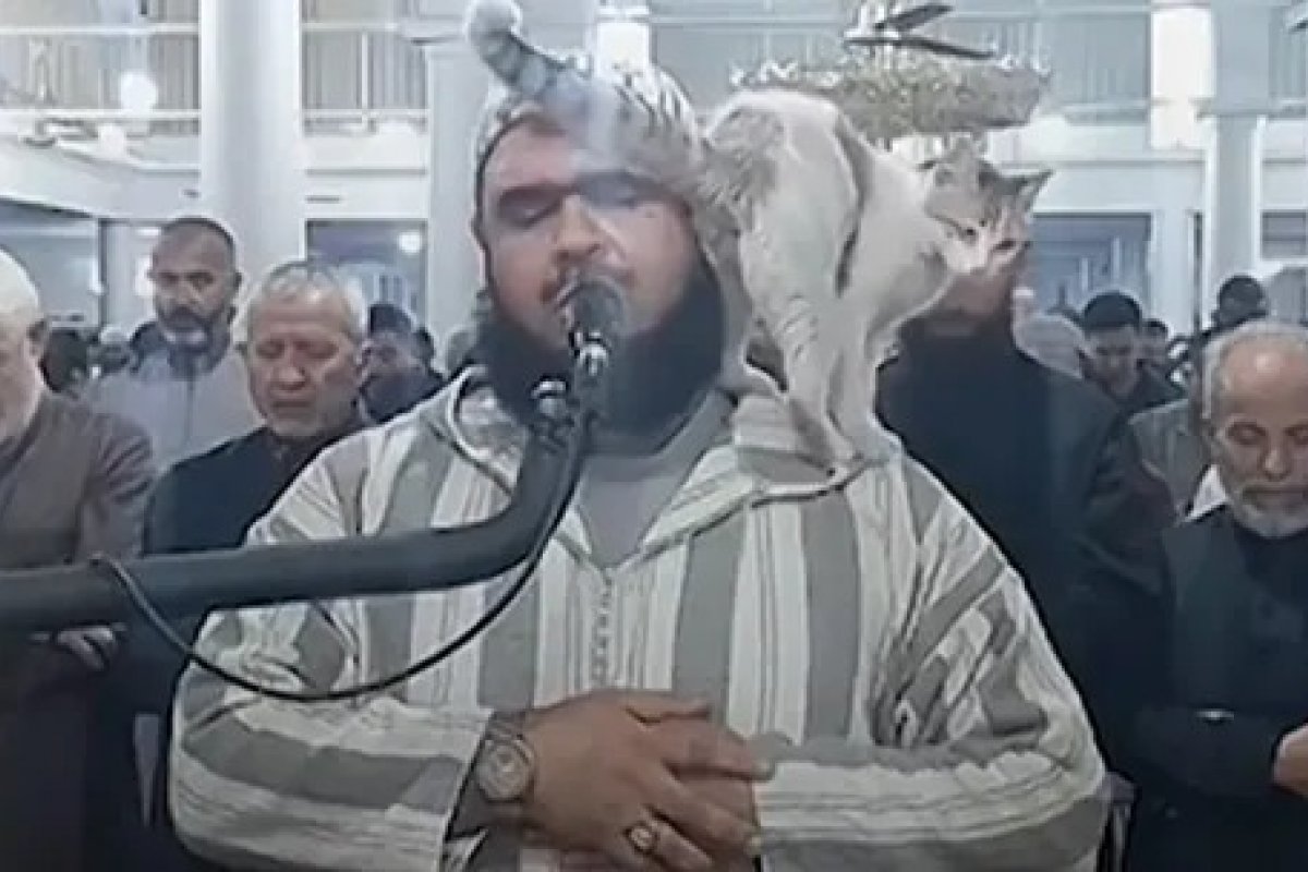 Vídeo: gato 'invade' oração do Ramadã e pula no ombro do Sheik