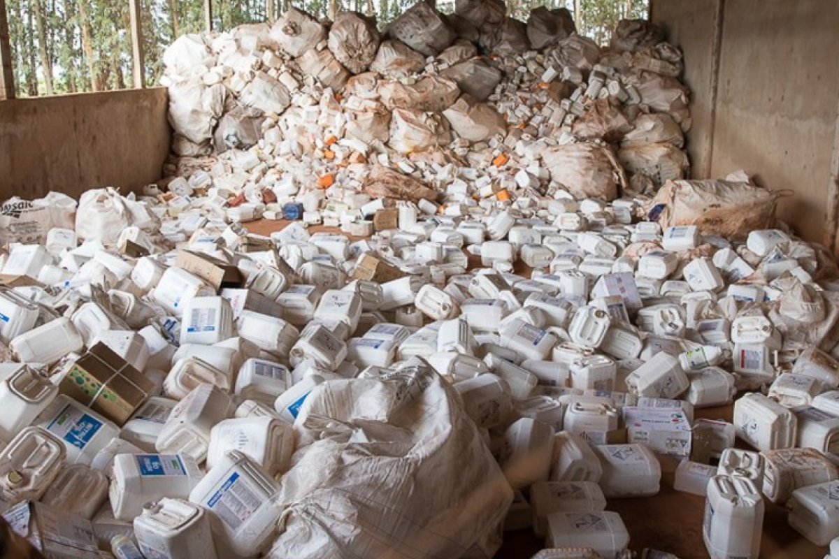 Três homens são presos em operação contra o desmatamento na Bahia