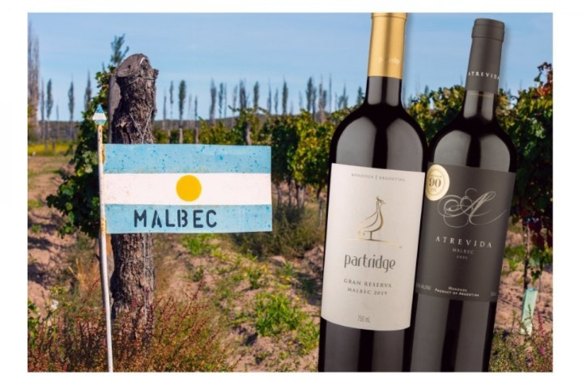 Malbec World Day: um brinde à mais argentina das uvas! 