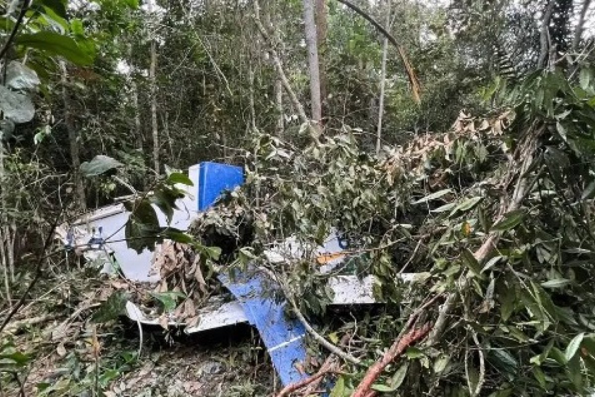 Piloto morre após queda de avião agrícola em fazenda de Mato Grosso