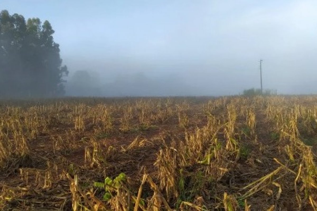 Jovem é preso e três menores são apreendidos por estupro coletivo contra adolescente de 14 anos