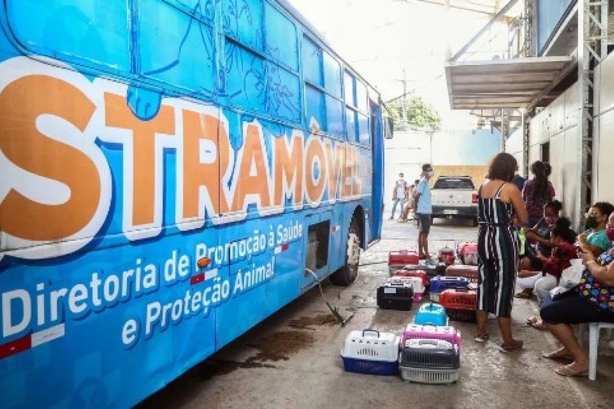Prefeitura oferece castração gratuita para cães e gatos no bairro de Castelo Branco 
