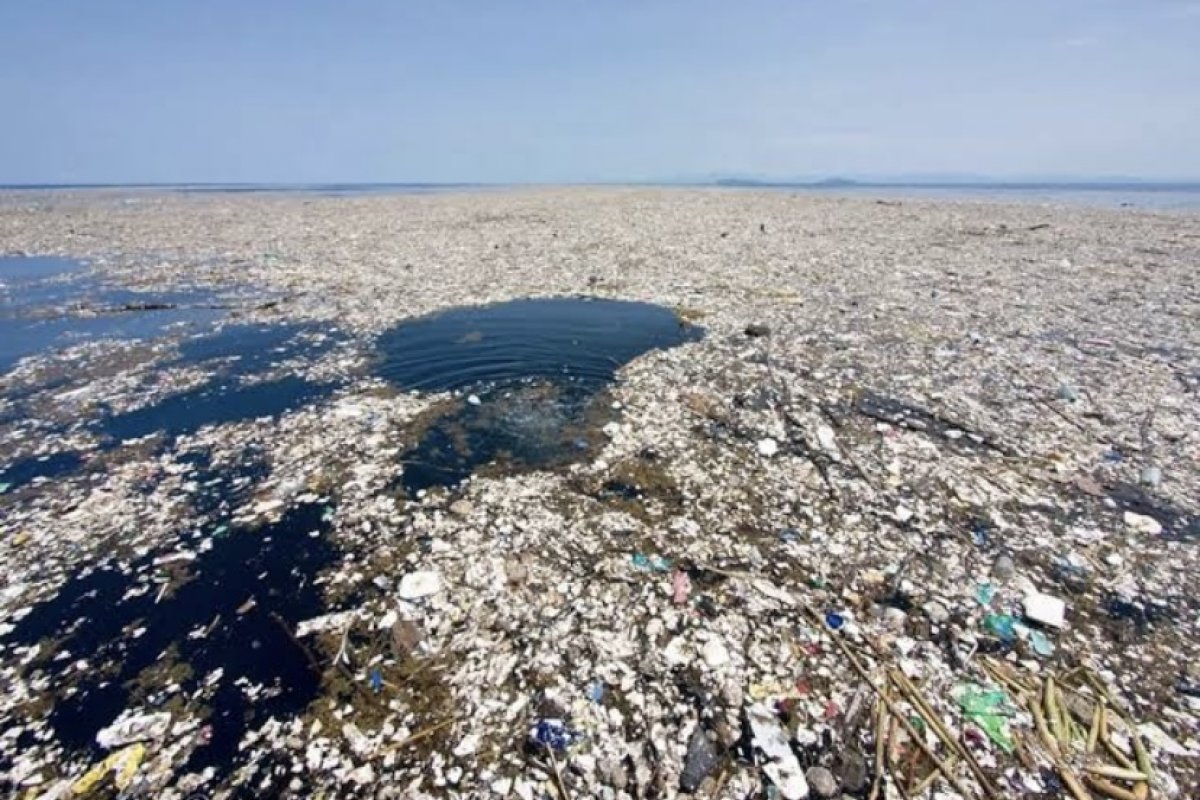 Grande mancha de lixo no pacífico vira ecossistema inesperado com capacidade de reprodução