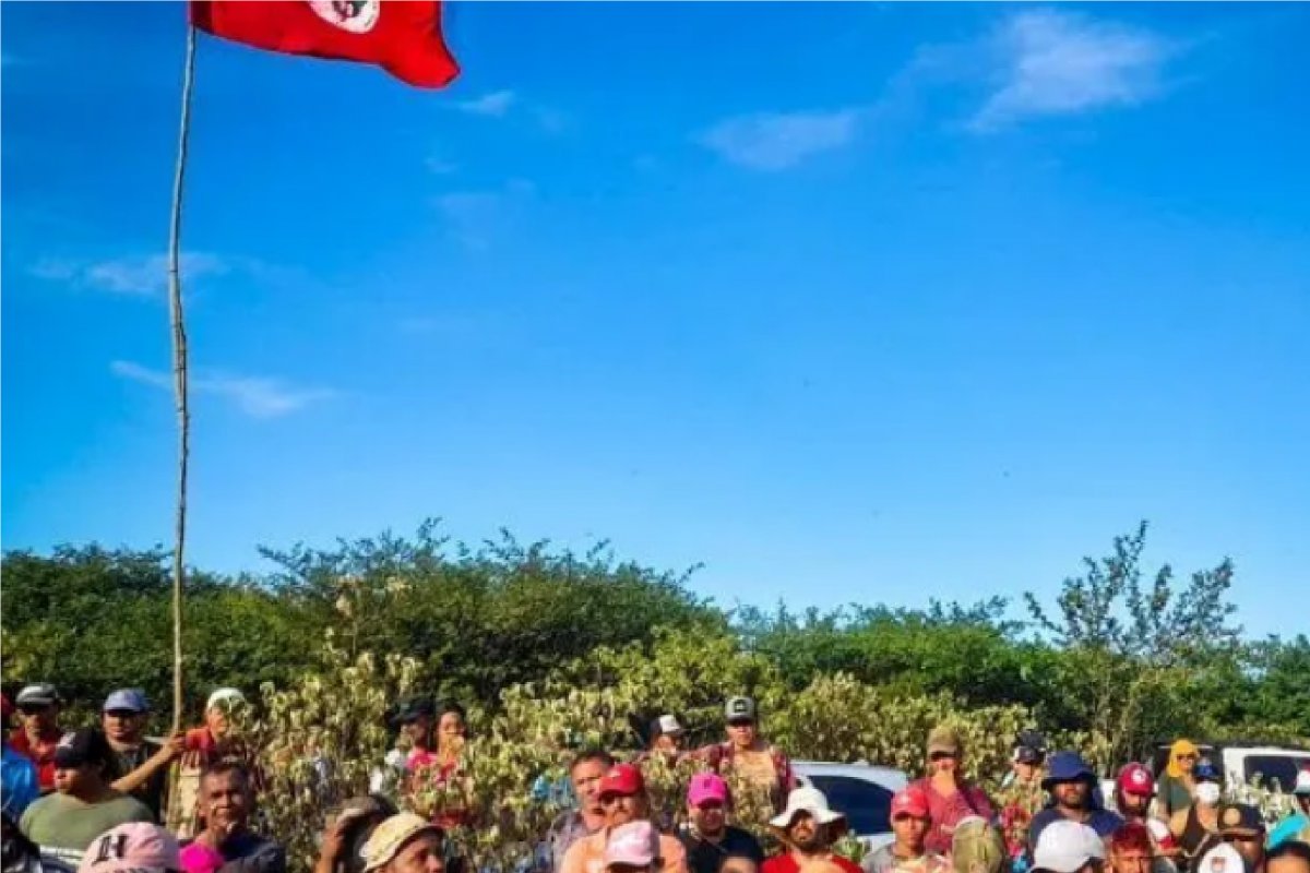 Embrapa afirma que invasão do MST compromete vida de animais com ameaça de extinção