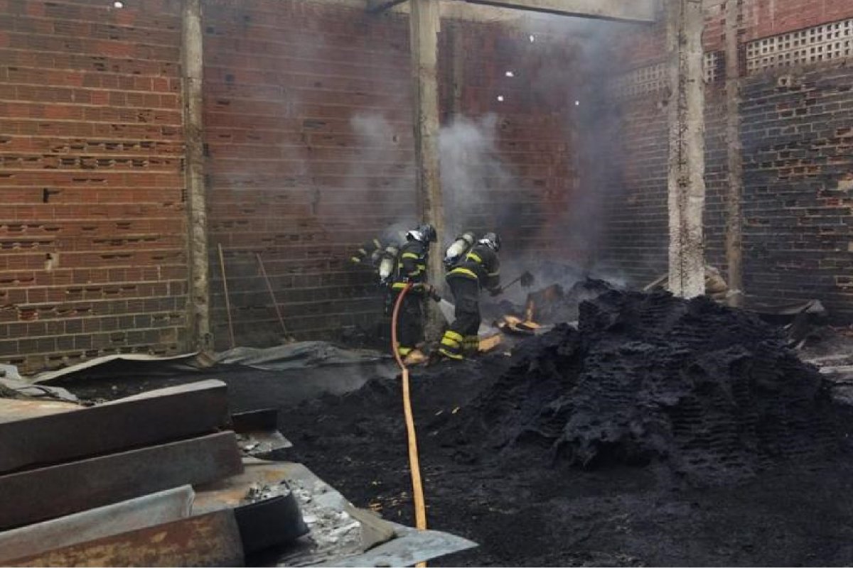 Vídeo: bombeiros apagam incêndio em galpão e resgatam gato em Juazeiro (BA)
