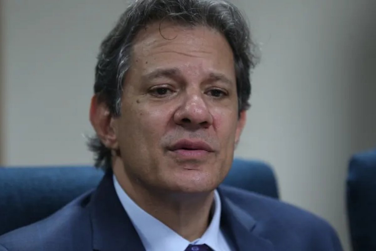 'Jabutis tributários': julgamento do STJ pode elevar arrecadação federal, diz Haddad