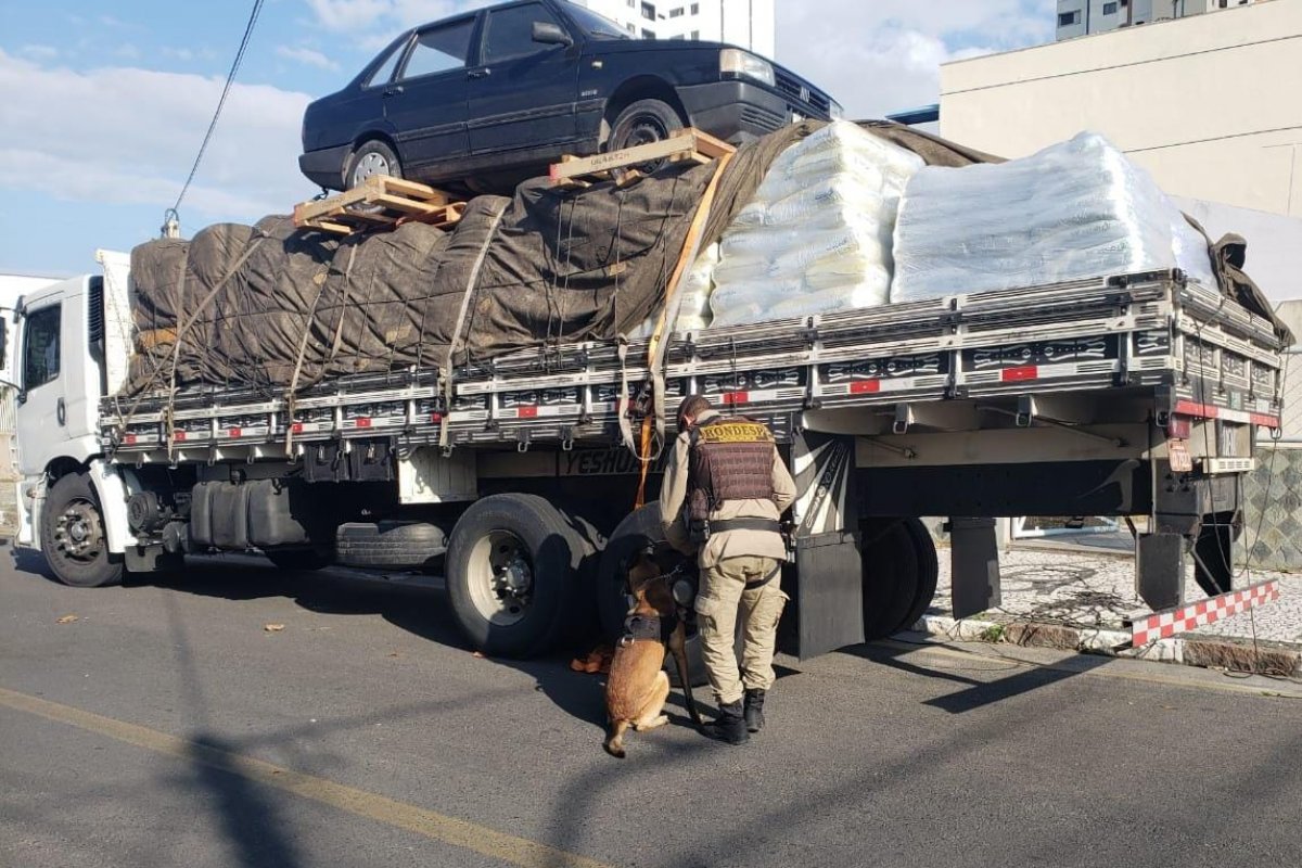Polícia apreende 101kg de cocaína escondidos em ração de peixe que seriam vendidos em Salvador e Feira