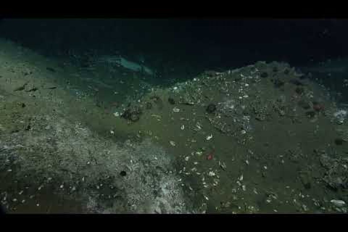 Descoberta de líquido quente abaixo do Oceano Pacífico pode indicar possíveis terremotos futuros