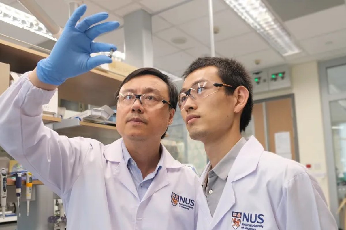 Cientistas desenvolvem cápsula eletrônica para tratamento de doenças metabólicas e neuropsiquiátricas