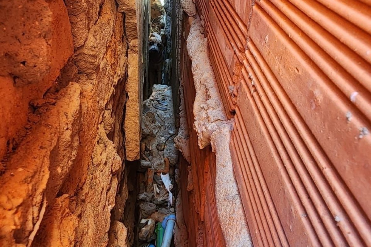 Bombeiros resgatam cachorro preso entre duas paredes em Barreiras