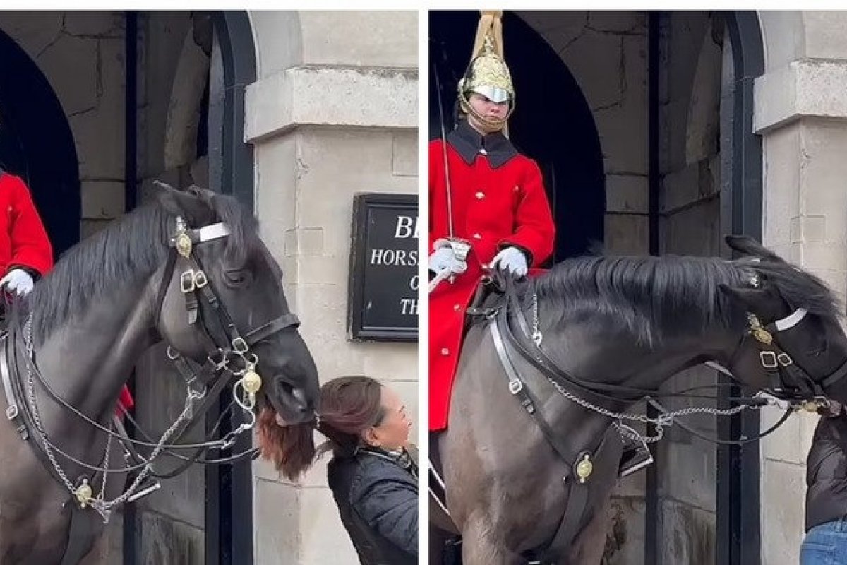 Cavalo da guarda real morde duas turistas no Palácio de Buckingham, em Londres