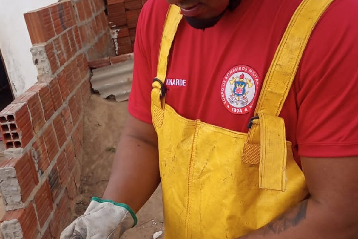 Cãozinho em situação de risco é resgatado por bombeiros em Juazeiro