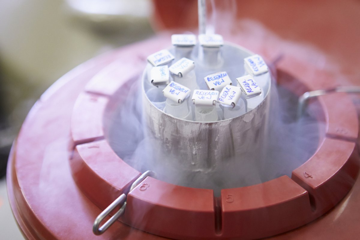 Homem é proibido de doar esperma após ter mais de 500 filhos no mundo todo