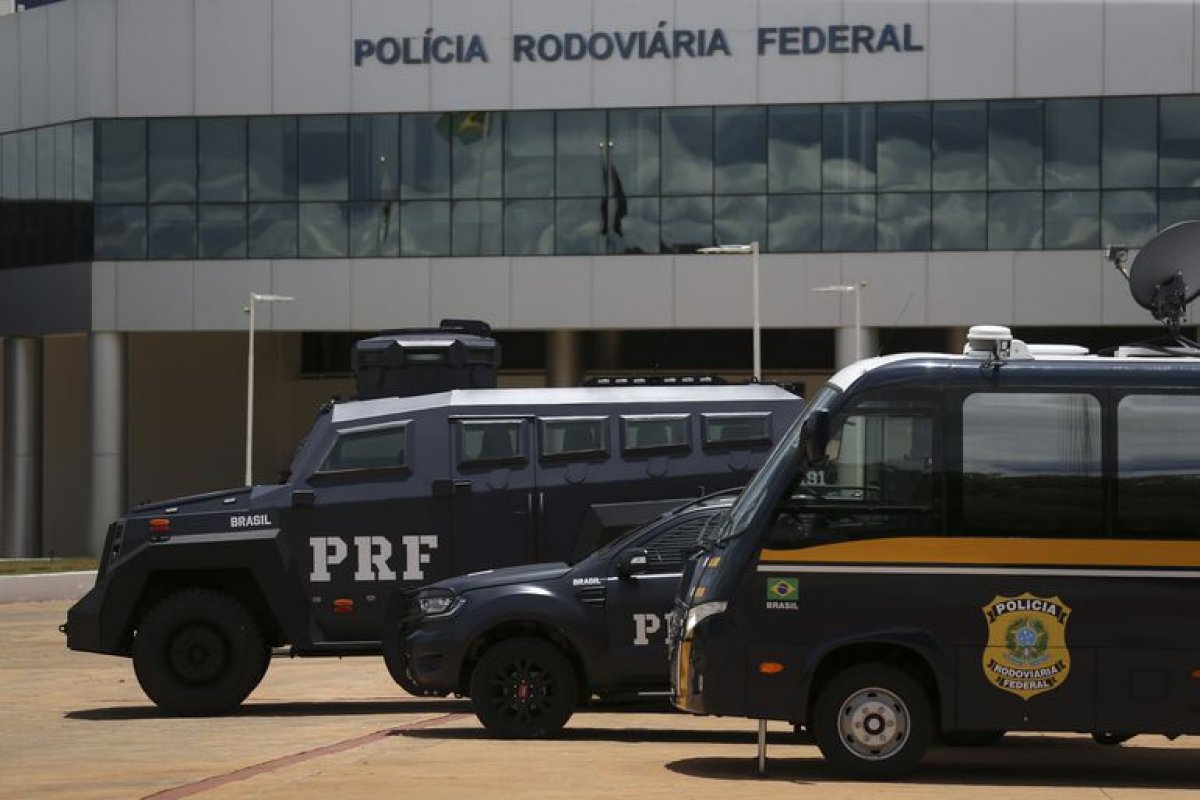 PRF apreendeu 50 toneladas de "ouro negro" em 2023, aponta relatório