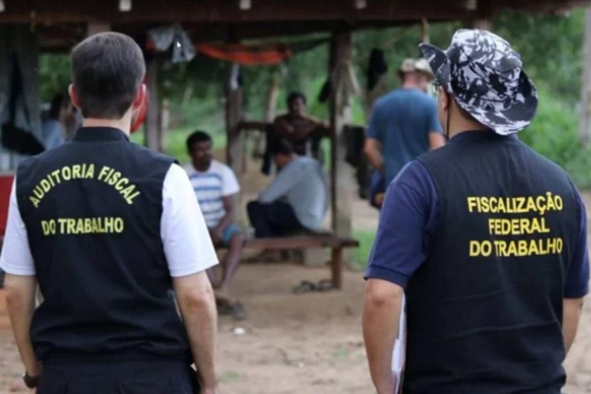 Resgatados de situações análogas à escravidão em vinícolas do RS são realocados para fazendas na Bahia