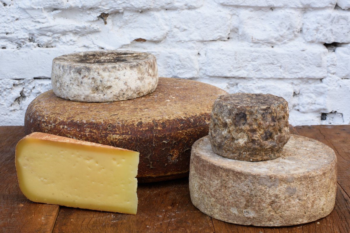 5 Fazendas produtoras de queijos para visitar em São Paulo!