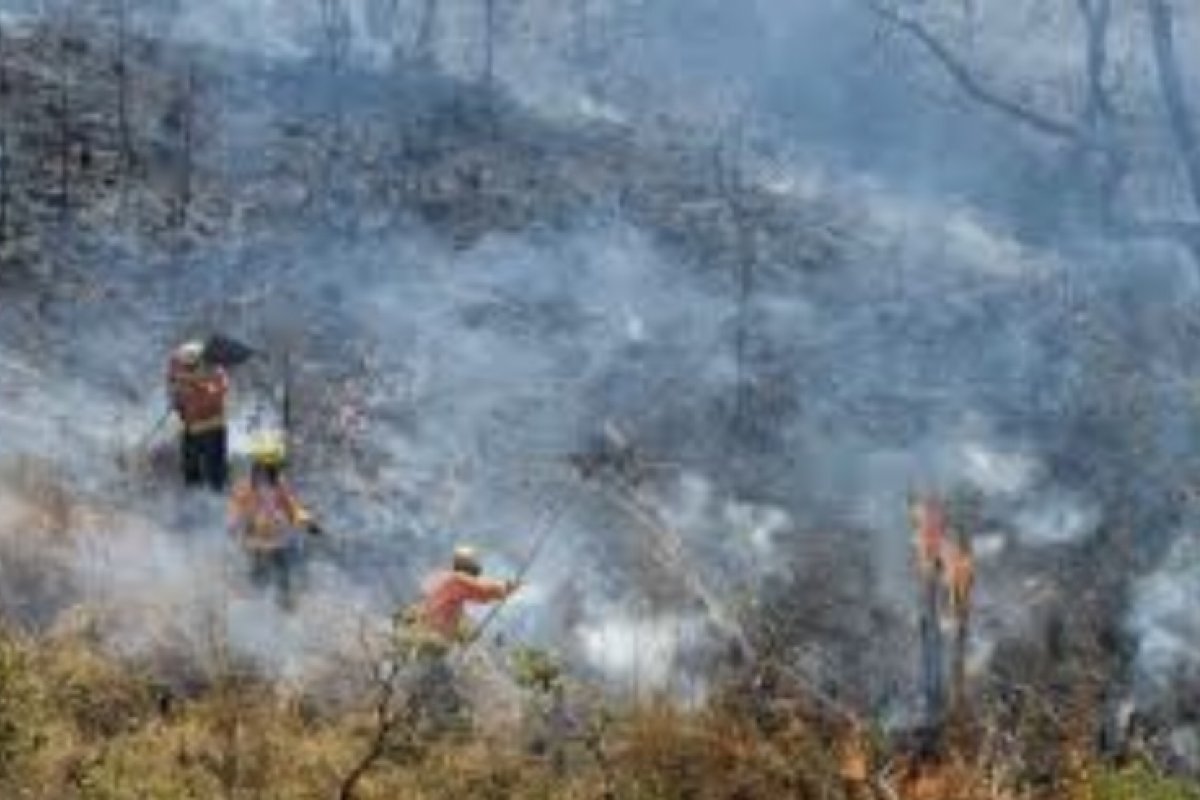 ONU faz alerta de que mundo deve se preparar para intensidade do fenômeno El Niño