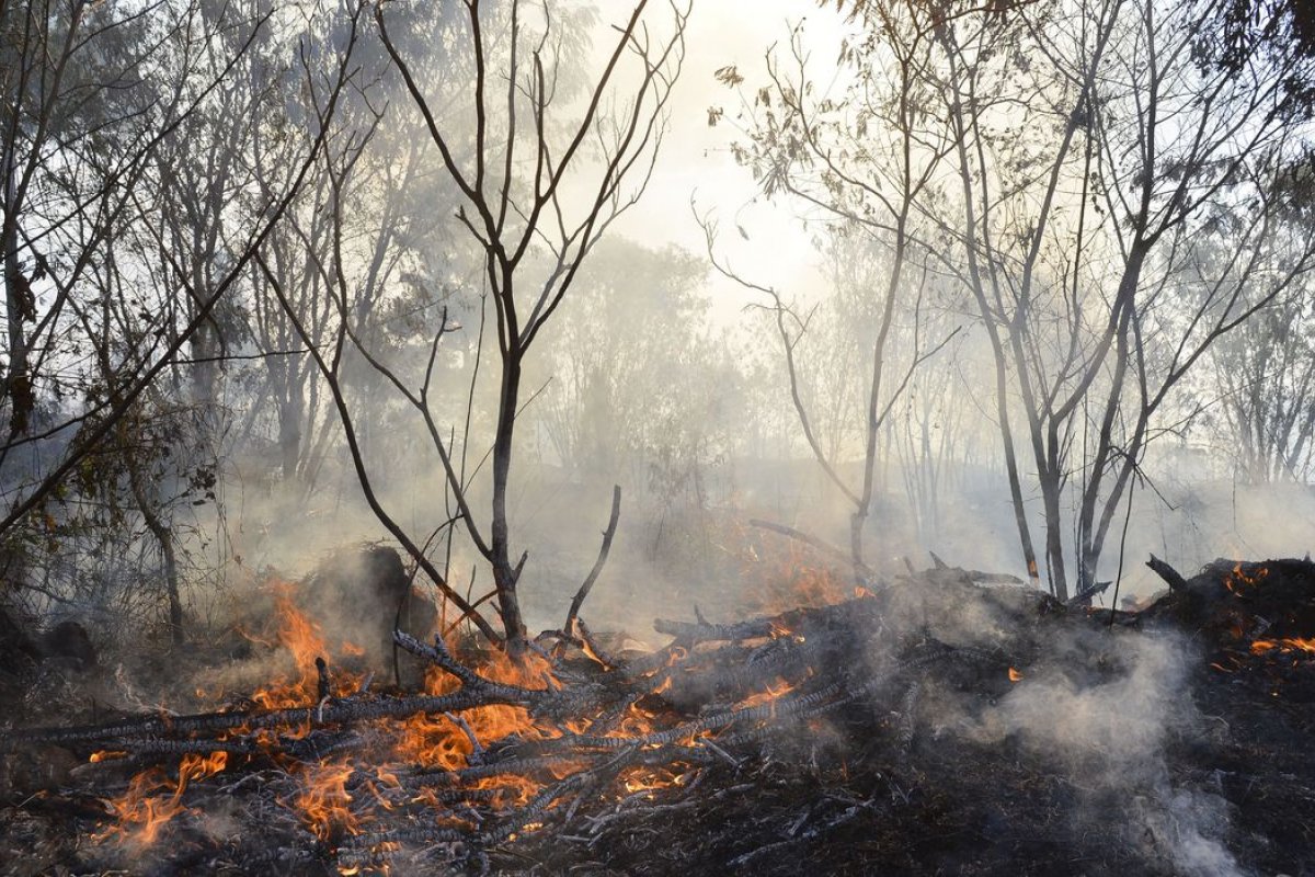 Incêndios na Amazônia dobram risco de morte entre indígenas, diz estudo