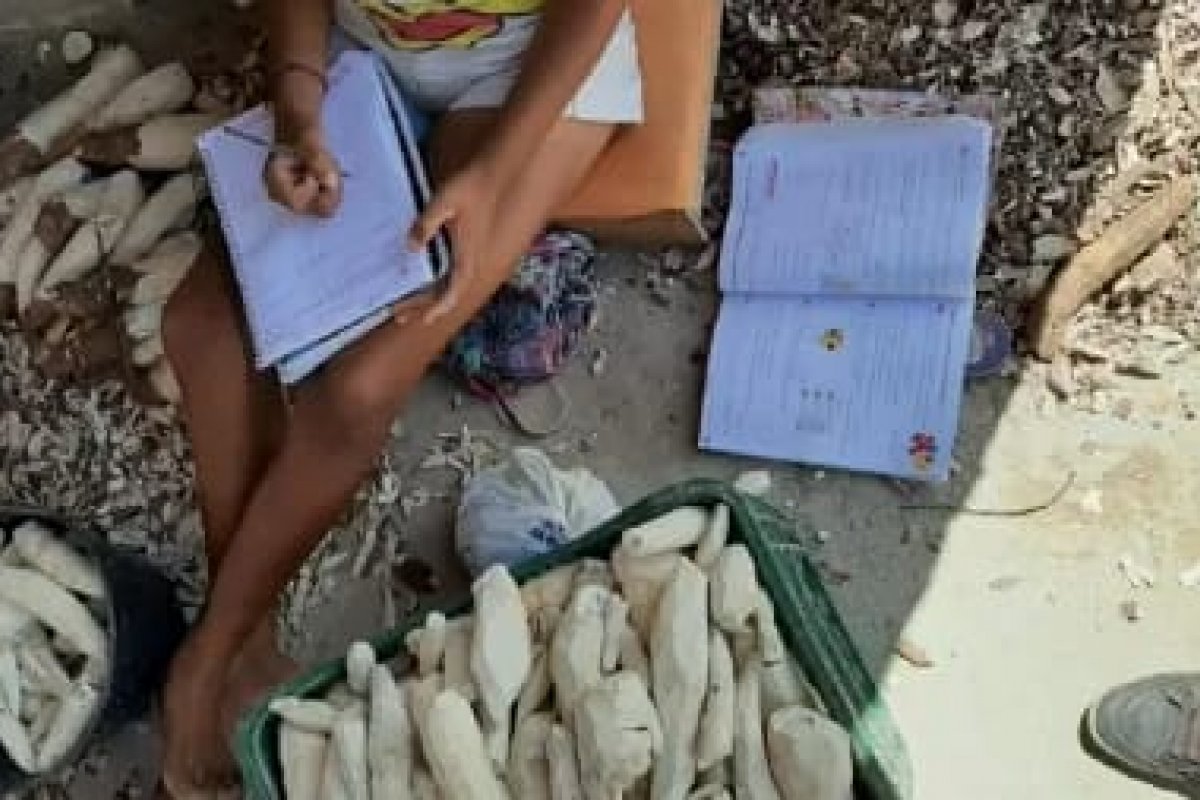 Brasil resgata cerca de 980 crianças e adolescentes em situação de trabalho escravo em 19 anos
