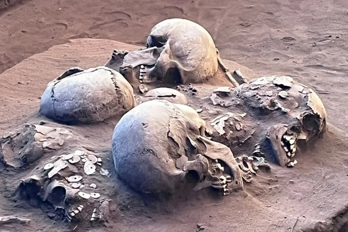 Pesquisadores encontram fóssil de quase 12 mil anos em Goiás