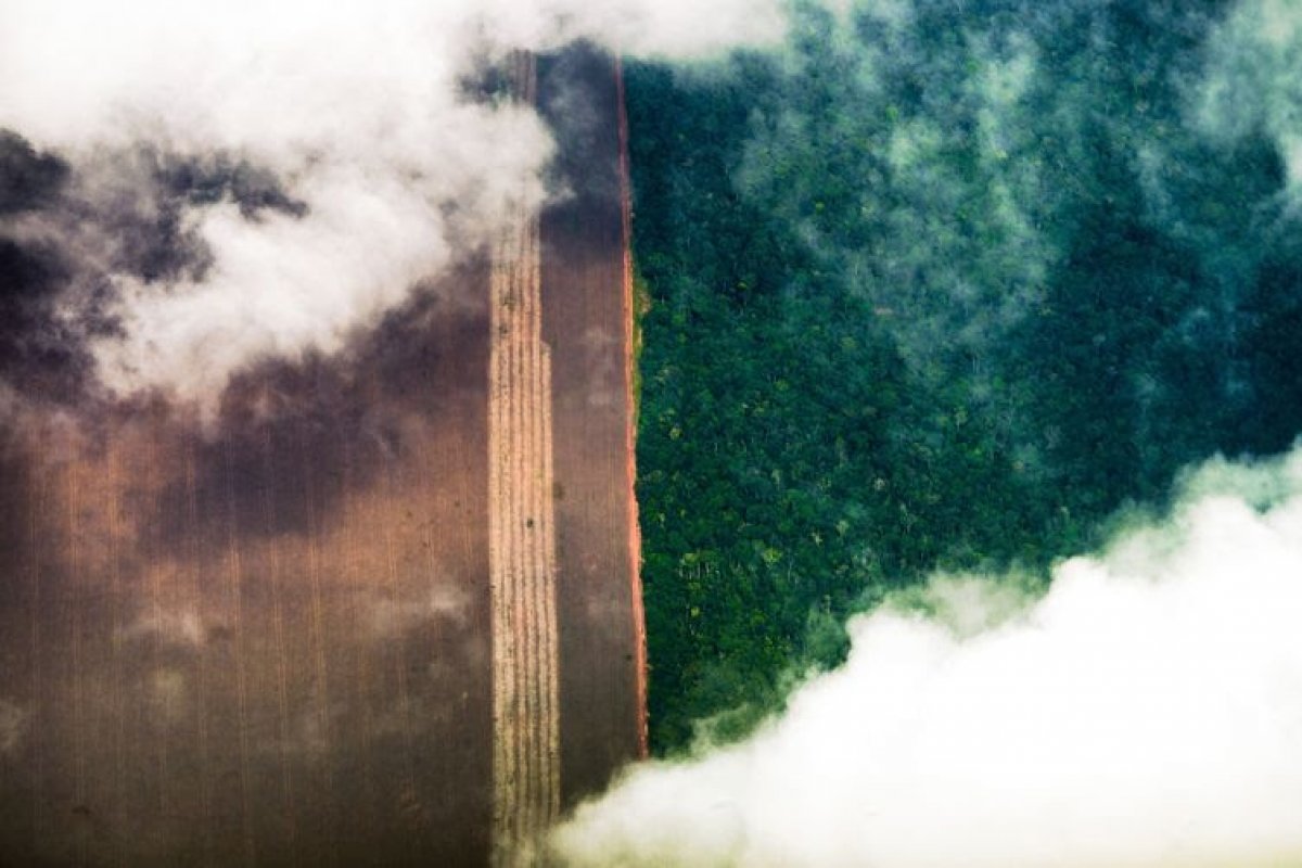 Banco Mundial: Floresta Amazonia preservada vale R$ 1,5 trilhão por ano