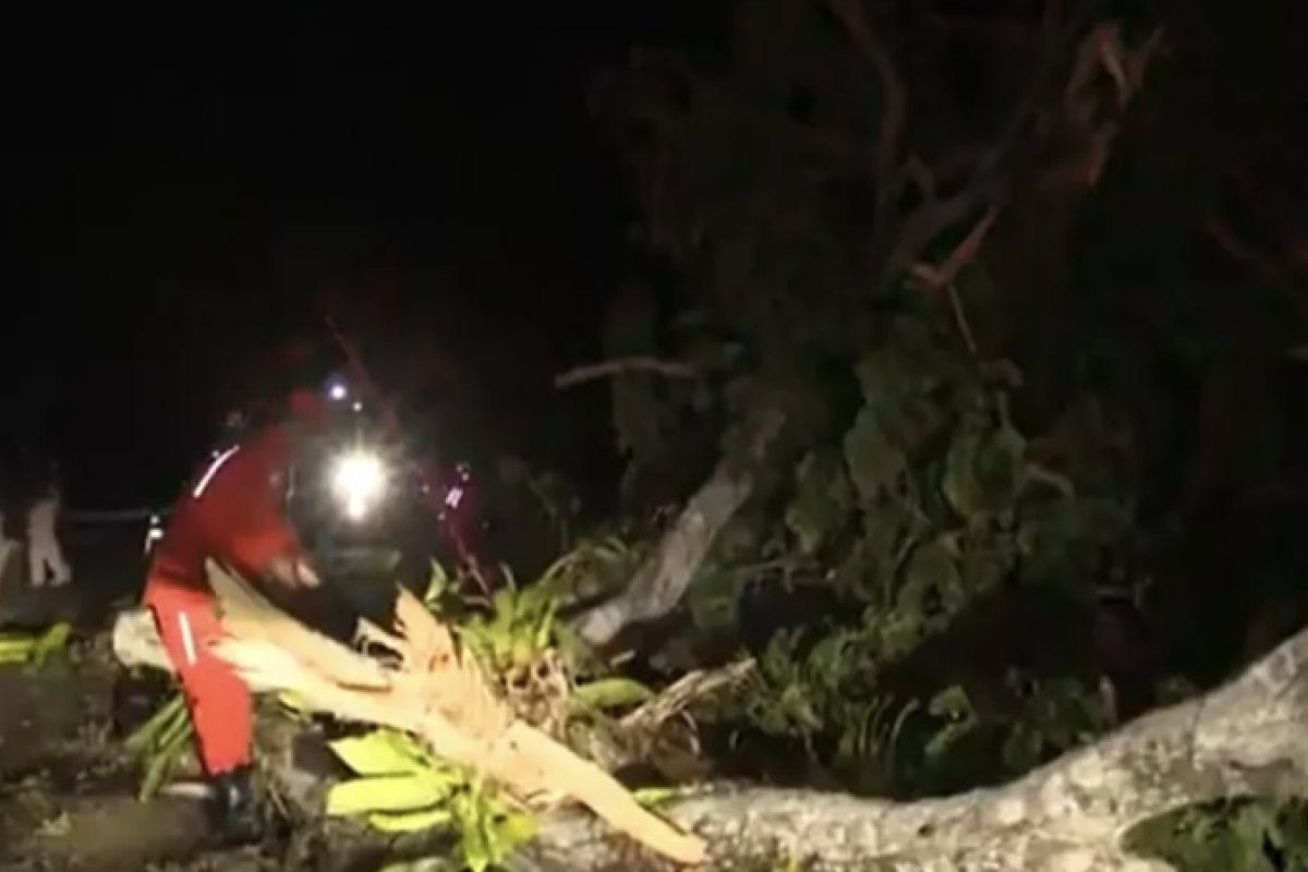 Duas pessoas ficarem feridas após moto atingir galho caído em rodovia no sul da Bahia