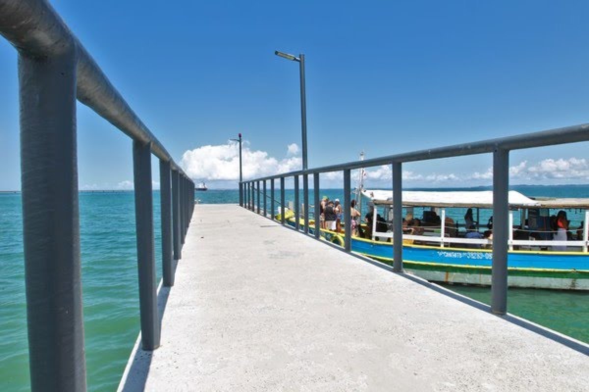 Inema envia equipe para investigar aparecimento de peixes e siris mortos em Praia de São Tomé de Paripe