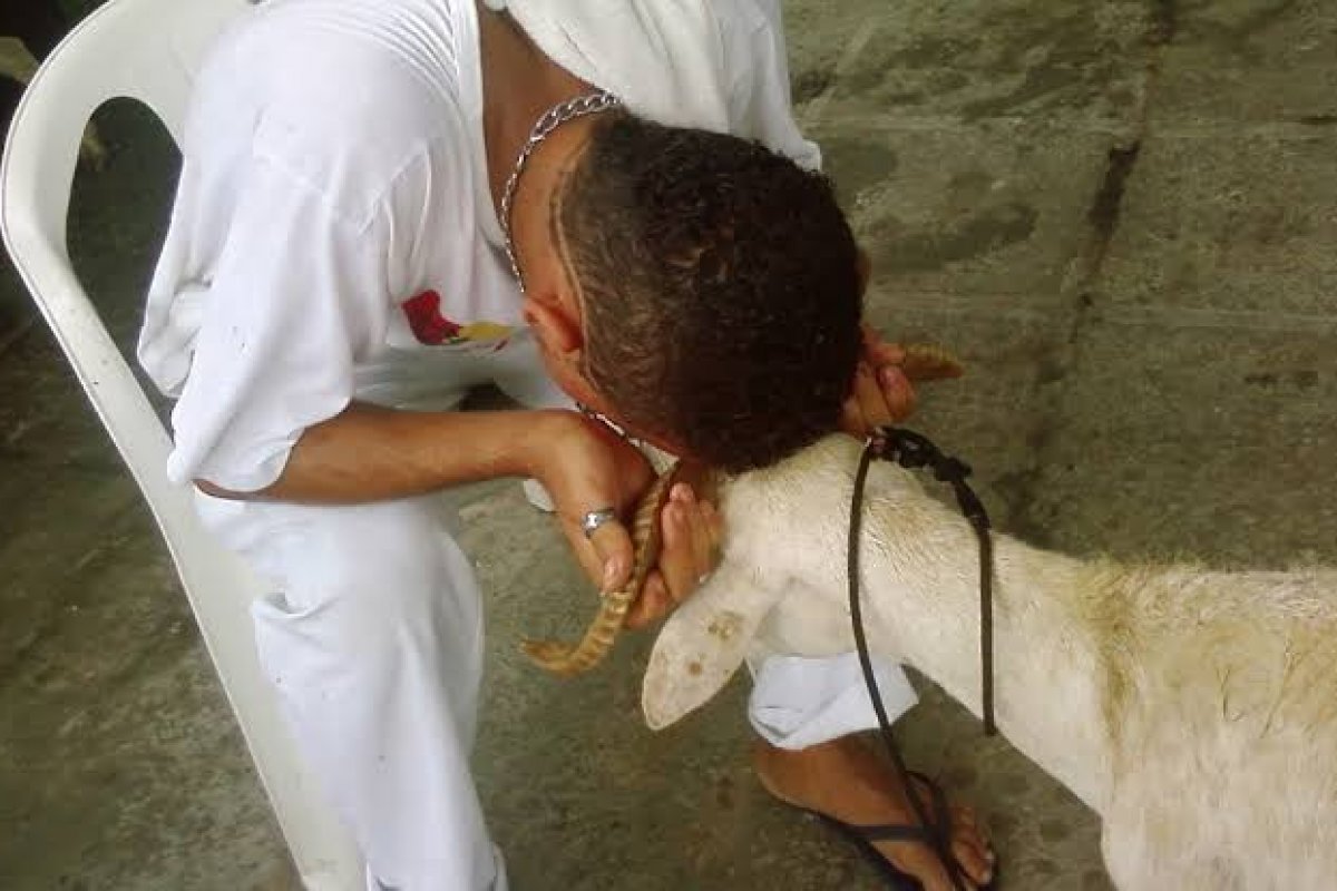 Sacrifício: as mais diversas formas de adorar os Orixás