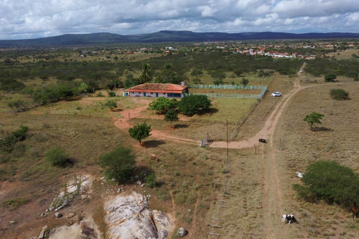 ONG da Bahia lança Projeto Quintal CO2 Free!