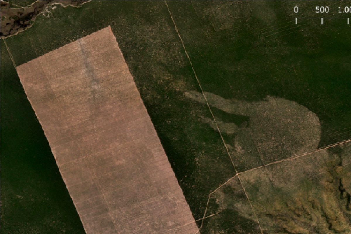 Desmatamento no Cerrado cresce 36% em abril de 2023, alerta sistema de monitoramento