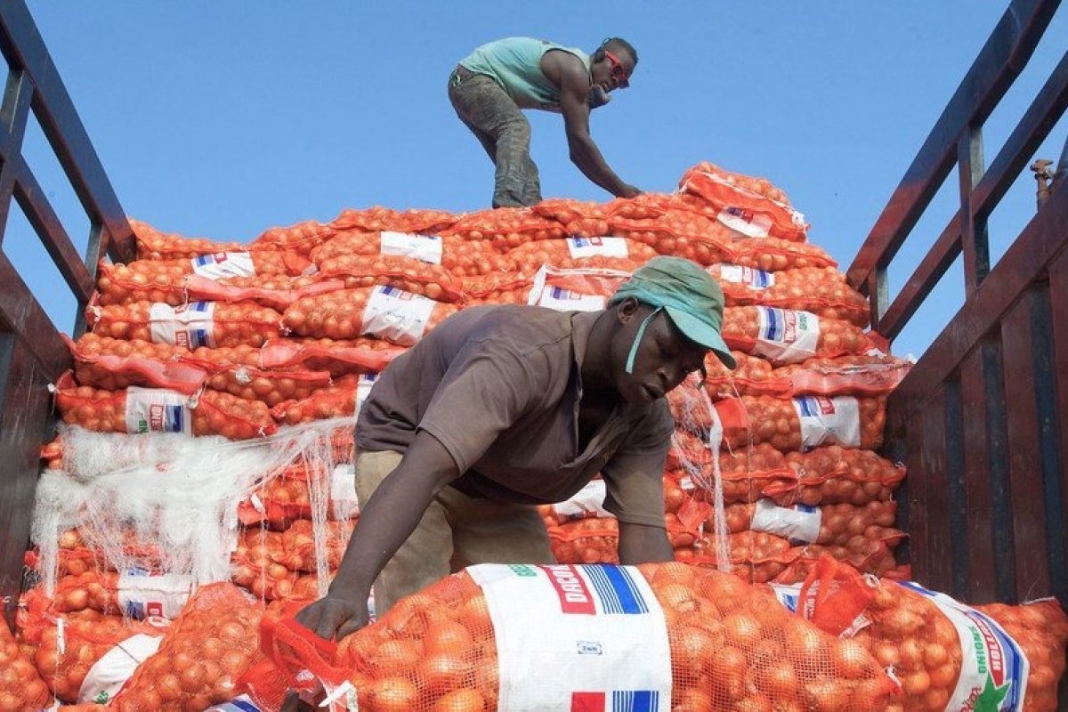 Economia Mundial enfrenta crescimento baixo e inflação persistente