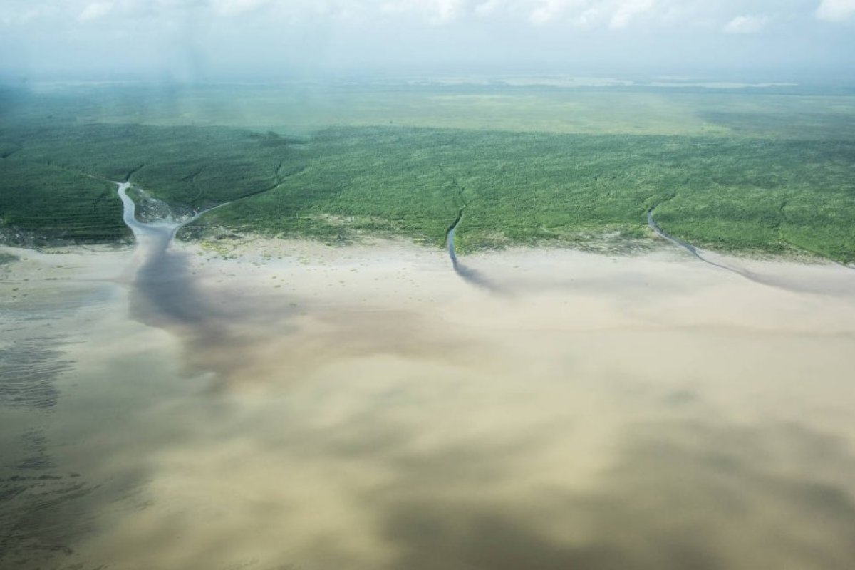 Ibama nega pedido da Petrobras para perfurar bacia na foz do Amazonas em busca de petróleo