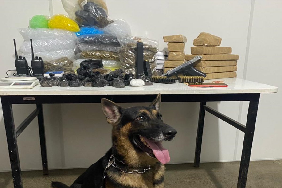 Homem é preso com cerca de 12 kg de maconha em Santo Antônio de Jesus