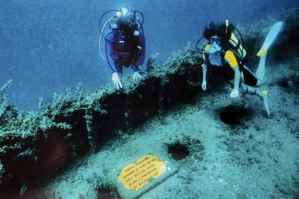 Biólogo marinho faz site com informações de mais de 2.700 naufrágios em águas brasileiras