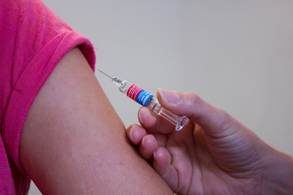 Butantan começa a desenvolver vacina contra gripe aviária