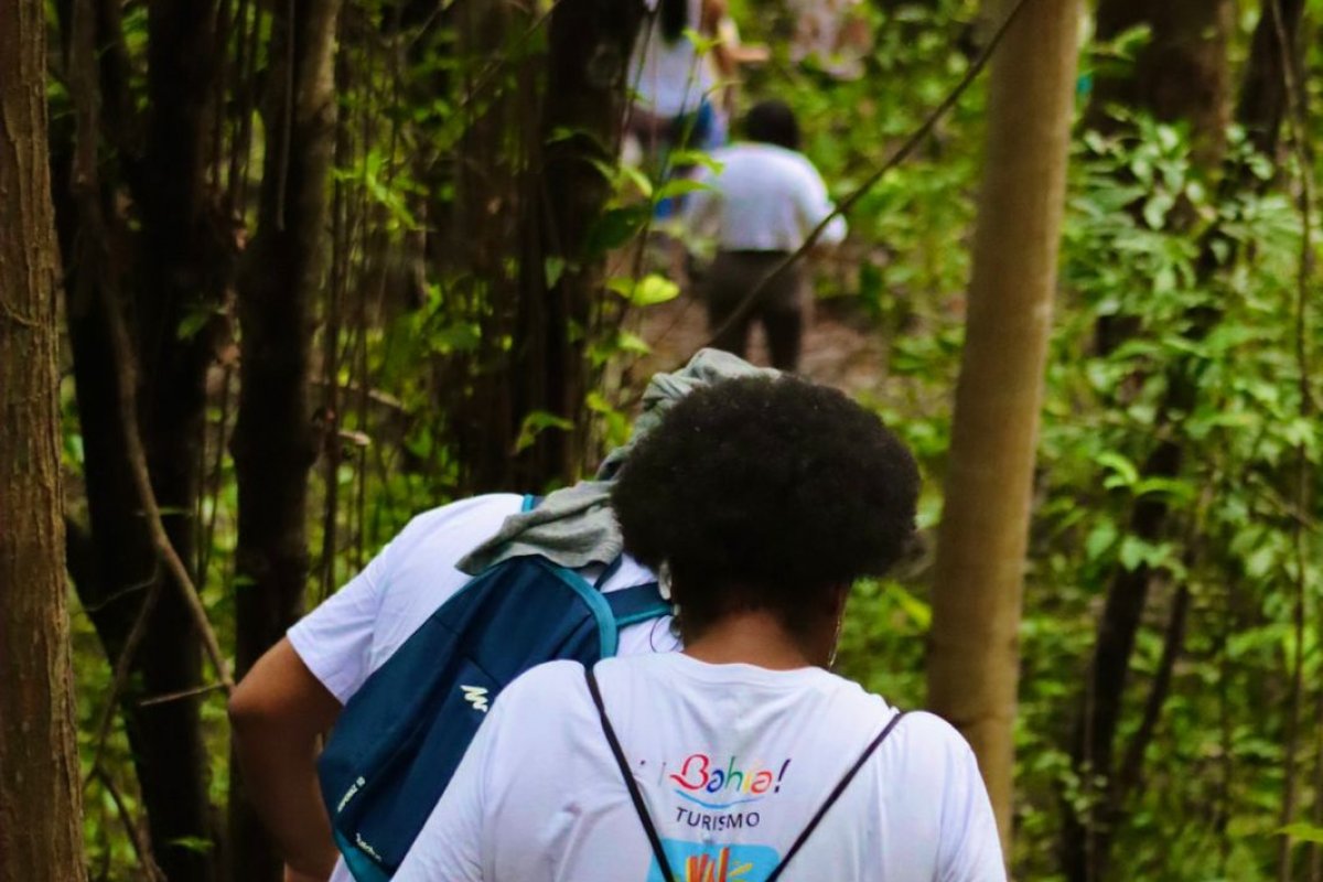 Dia da Mata Atlântica: coletivo realiza trilhas no Vale Encantado e Parque de Pituaçu