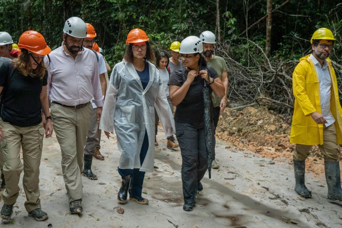 Reino Unido anuncia investimento de R$ 12,3 milhões em projeto na Floresta Amazônica