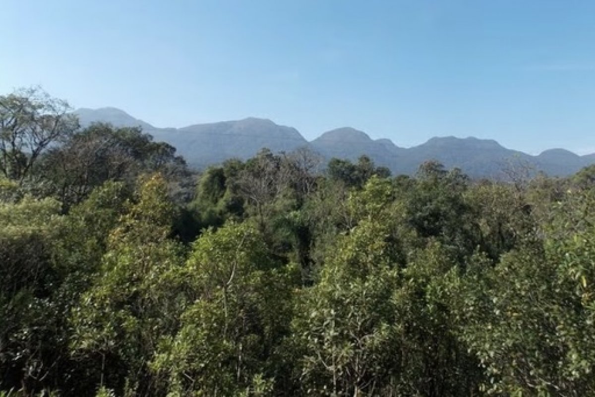 Mudanças na Lei da Mata Atlântica colocam em risco segurança hídrica e alimentar de mais de 70% da população