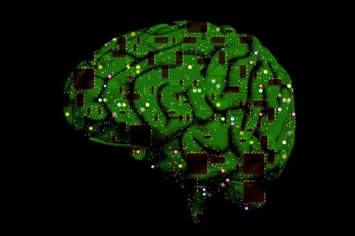 Chip cerebral: empresa de Elon Musk recebe aval para realizar testes em humanos