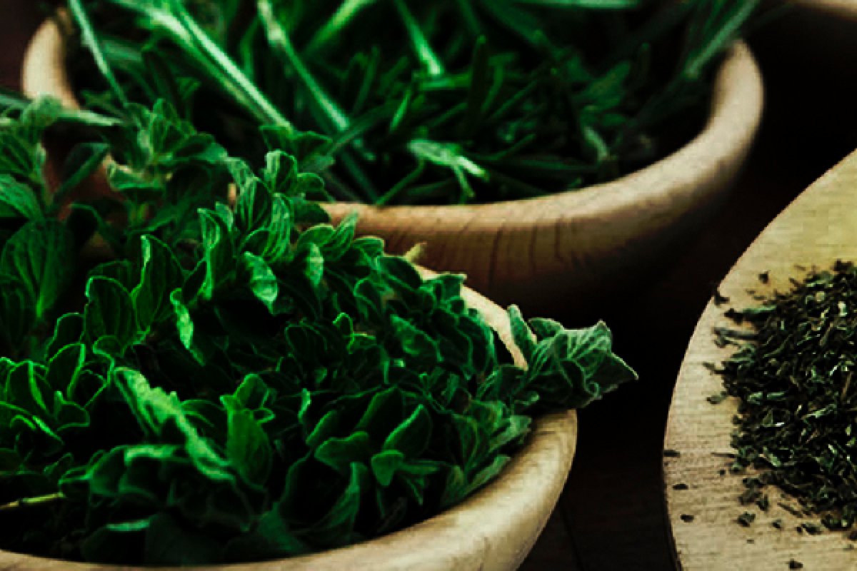 A força das ervas: sem folha, não há Orixá