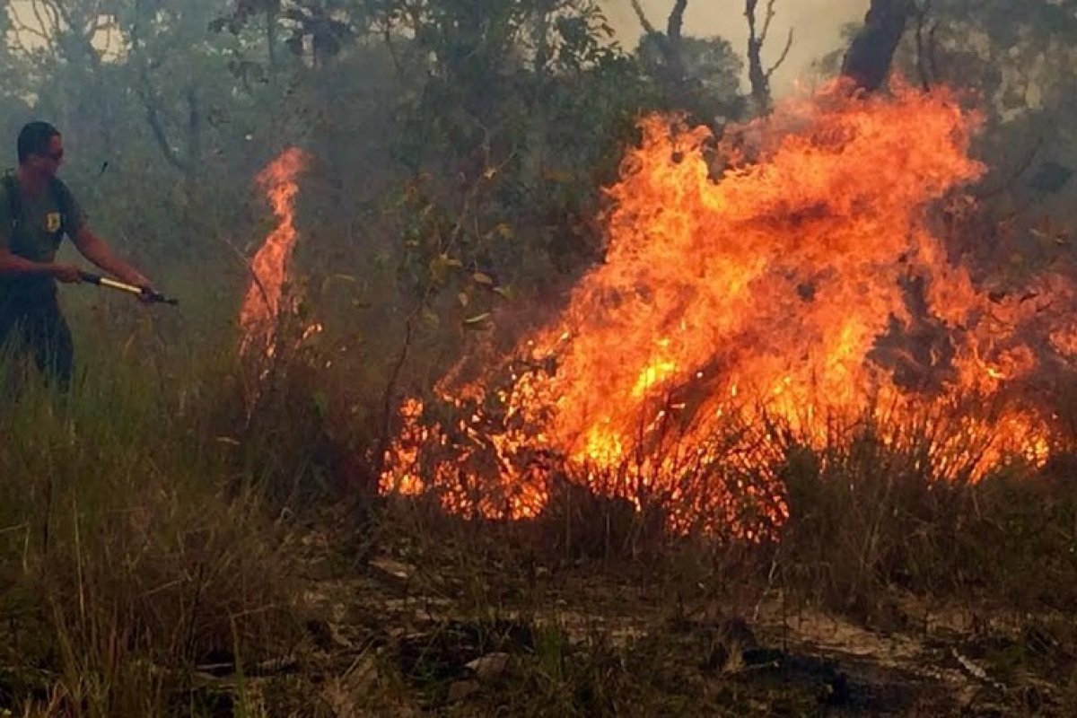 Organizações fazem apelo a ONU e CIDH em favor de brigadistas e da ONG Projeto Saúde e Alegria