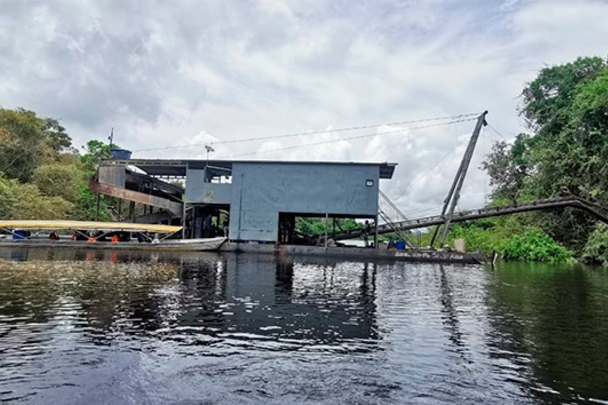 Peixes consumidos na Amazônia apresentam níveis elevados de contaminação por mercúrio