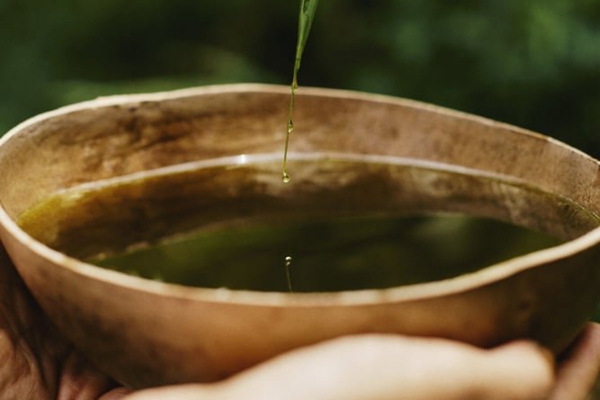 Ekos, da Natura, recebe certificação da União para o Biocomércio Ético!