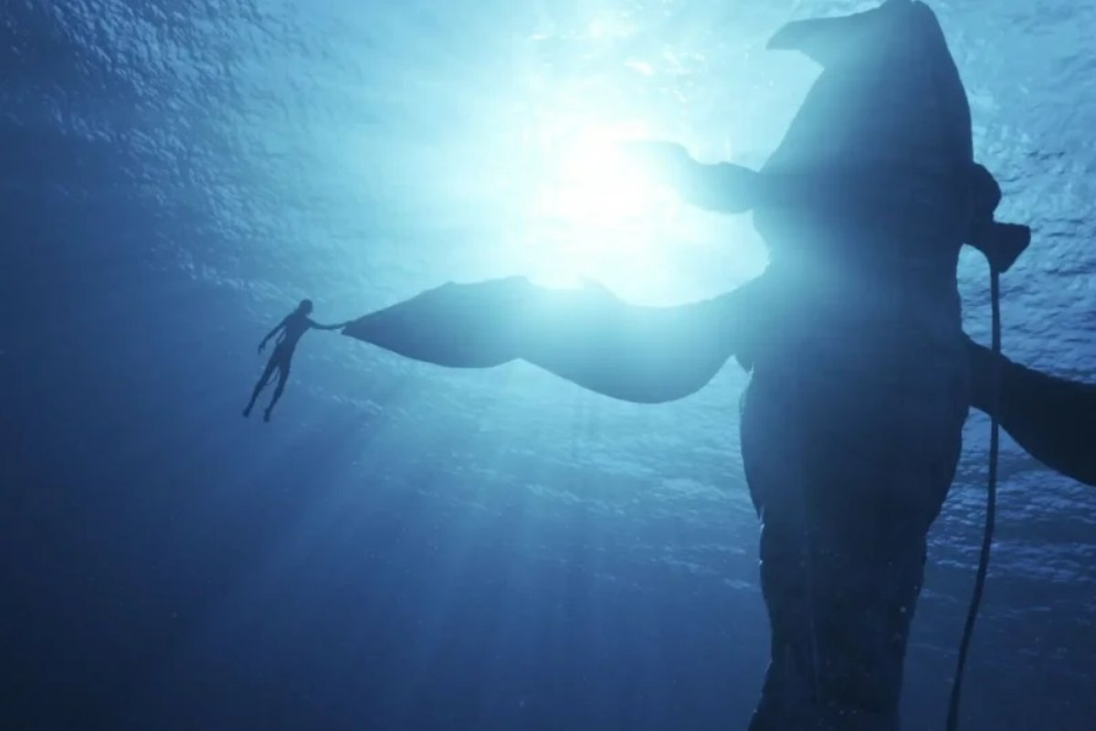 Confira lista de filmes e séries que serão adicionados ao seu catálogo da Disney+