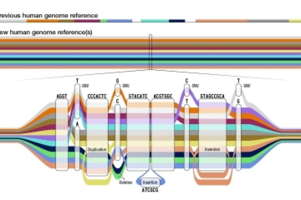 Cientistas atualizam genoma humano em versão mais inclusiva e igualitária